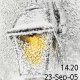snow winter light 3820