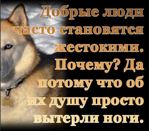 Одиночество