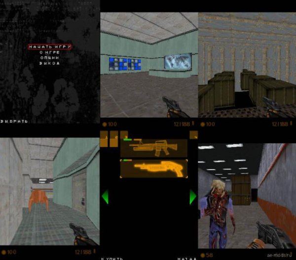 Half Life