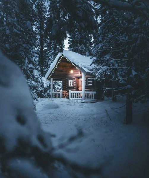 file_98753677