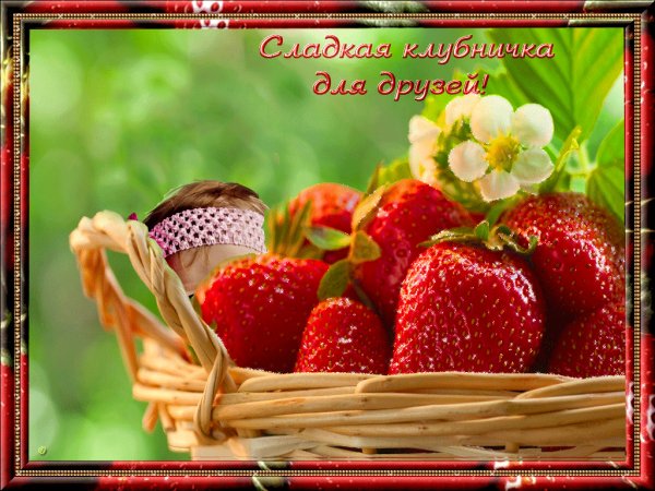Dlya-druzey-1