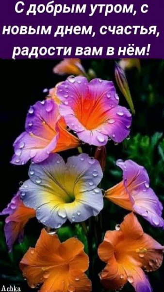 file_95156473