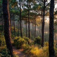 file_103074146