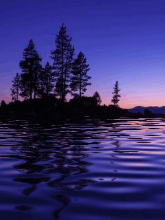 file_58376713