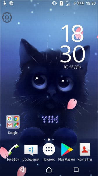 yinthecat1.2.3