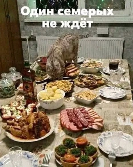file_103534045
