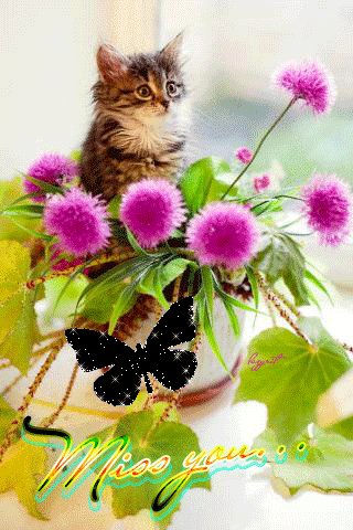 file_50618337