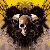 skull x7t5zkkz