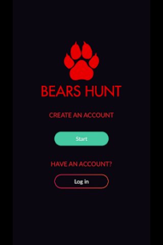 BEARS HUNT