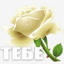 Тебе