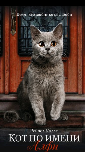 Рейчел Уэллс.Кот по имени Алфи