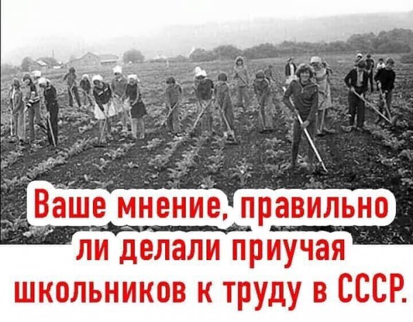 file_83874583
