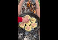 video_106450878