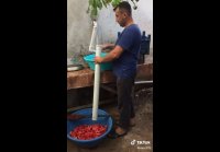 Нарезка помидоров в олл инклюзив