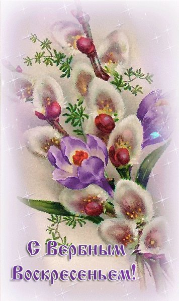 file_77331578