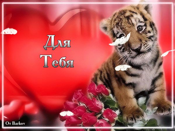 Для тебя