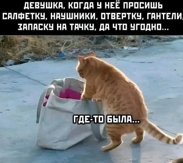 file_103241988