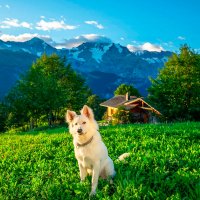 file_103561704