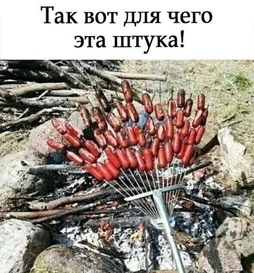 x500