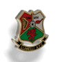 90x90Llanelli-FC