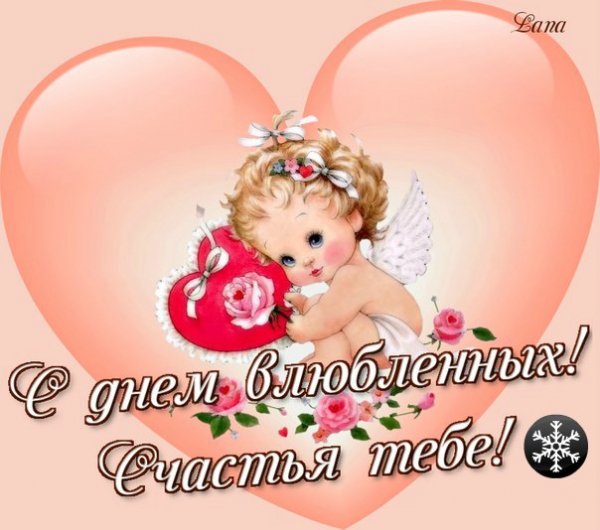 ДСВ 1