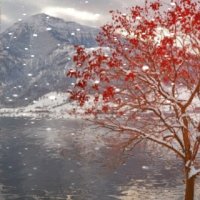 file_66481447