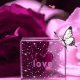 Beautiful Love