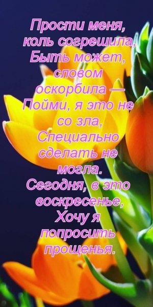 file_92863069