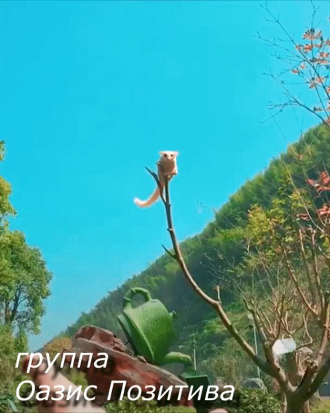 IMG 20181101 190942