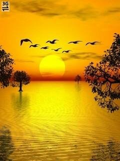 Nature gold закат рассвет