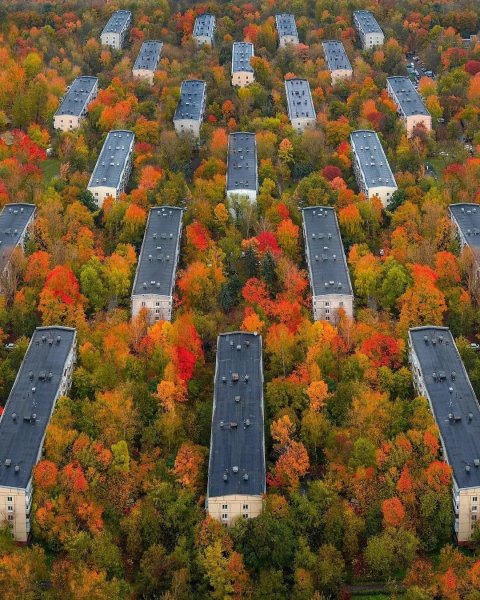 file_95043905