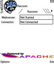 raccoon
