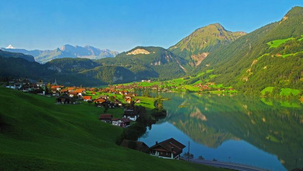 7 (274) (Copy)