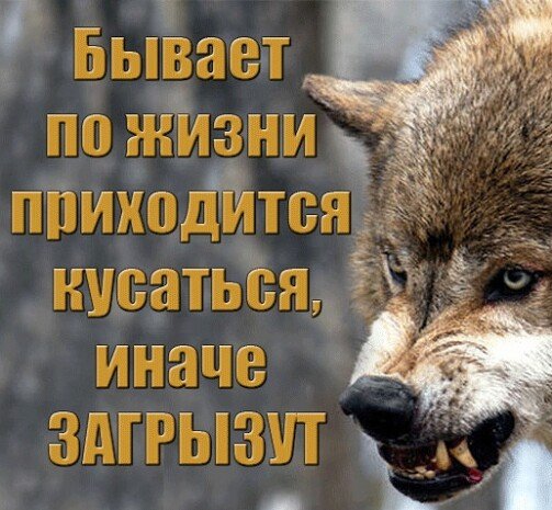Иначе загрызут