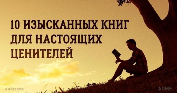 10 изысканных книг для настоящих ценителей