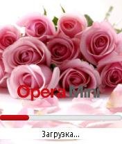 Magnificent Roses