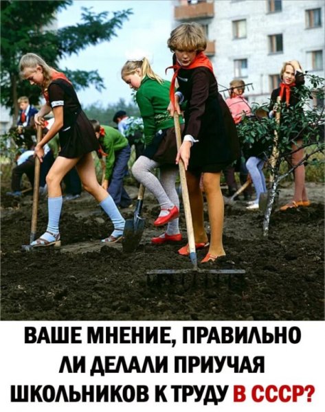 image (85)