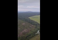 video_93746281