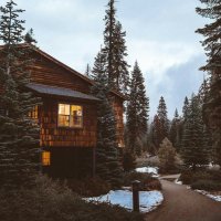 file_101292644