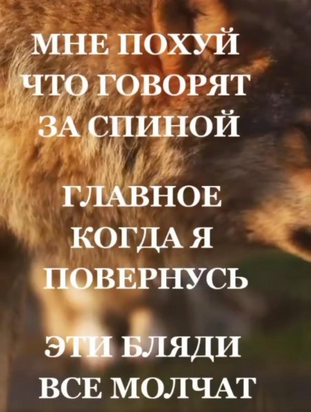 IMG-20250915-WA0022