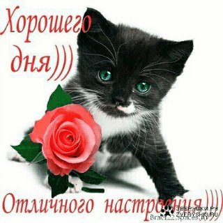 хорошего дня