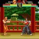 Art of Fighting (E)