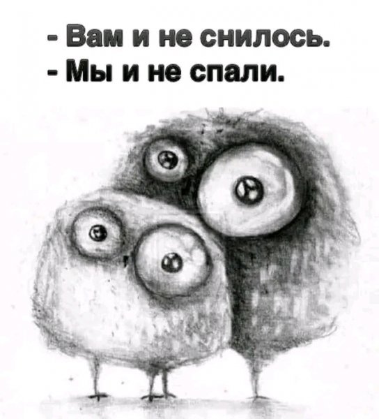 file_103603318