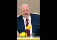 video_79808267