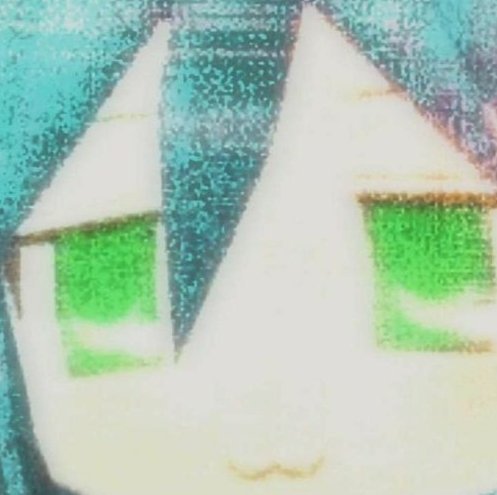 e c h o - XX