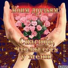 FB IMG 15157159635575420