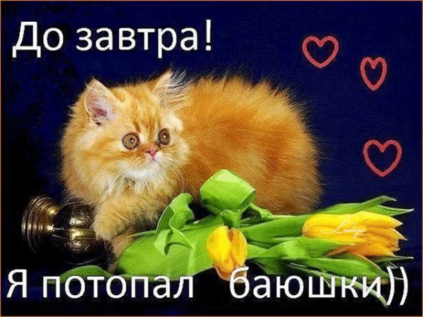 file_75272337