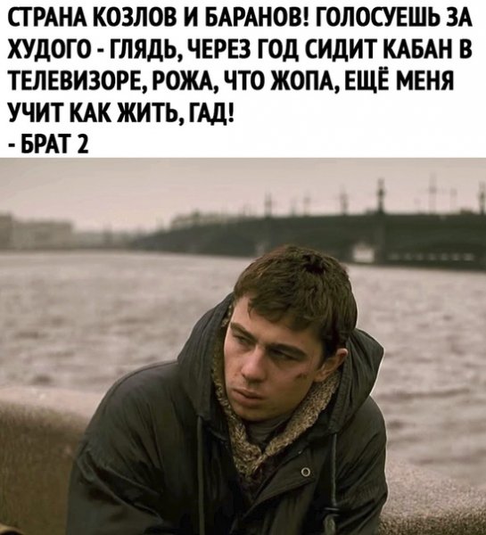 file_81379976