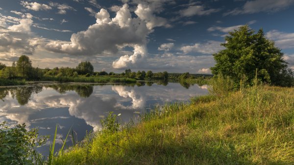 Image (21)