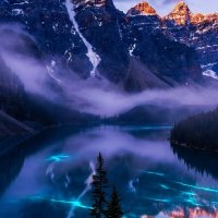 file_103128094